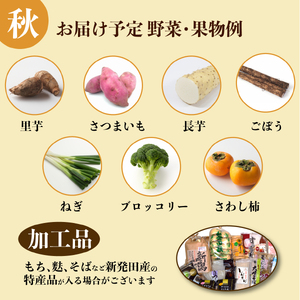 【4月開始】 野菜定期便 年4回 8～12種類 数量限定 野菜定期便 詰め合わせ 旬 野菜BOX 詰め合わせ 野菜定期便 野菜定期便 せいだ seida010_01
