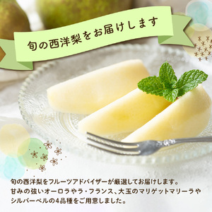 【先行予約】 定期便 令和8年産 西洋梨の定期便 全4回 約8kg
