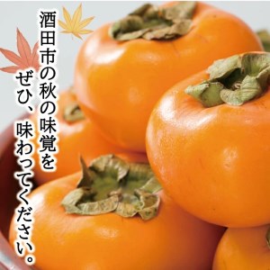 SA2955　酒田の秋の味覚　あまくて美味しい庄内柿(種なし柿) 秀品　約5kg(27～36玉前後)
