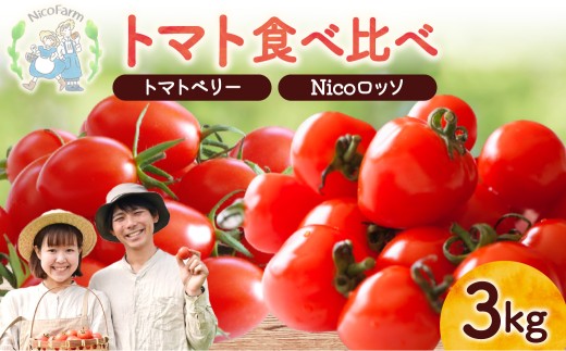 【先行予約2026年7月】子供も大好き！フルーツのように甘いミニトマト2種 各1.5kg トマトベリー & Nicoロッソ_Y124-0022