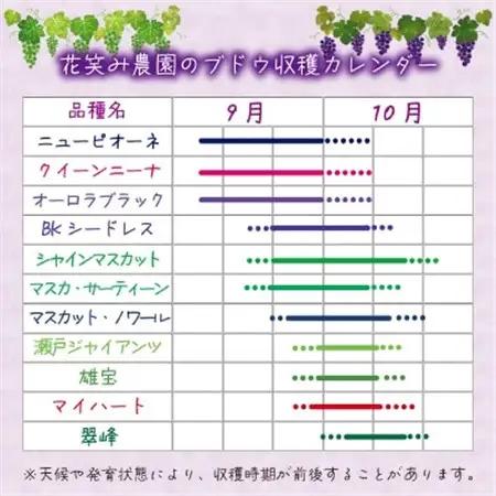 岡山　花笑み農園の『BKシードレス』優品　約2kg(3～5房)　B-2優【配送不可地域：離島・北海道・沖縄県】【1593502】