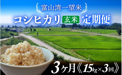 【先行予約】令和8年産 新米 富山湾一望米　コシヒカリ 玄米 3ヶ月定期便【容量15kg】【2026年10月より順次発送】農家直送 米 定期便 選べる 玄米 富山県滑川産お米 産地直送 袋 ブランド米 お米 白米 こしひかり 定期便 3ヶ月 3か月 3回 15キロ 45kg 45キロ