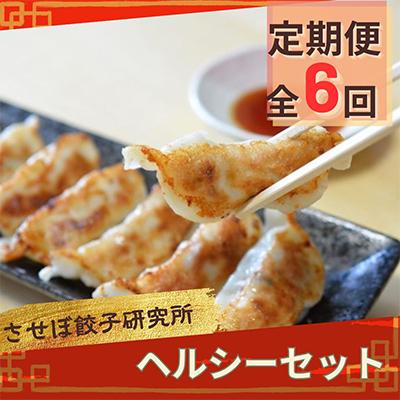 ふるさと納税 佐世保市 【発送月固定定期便】させぼ餃子研究所 させぼ餃子ヘルシーセット全6回