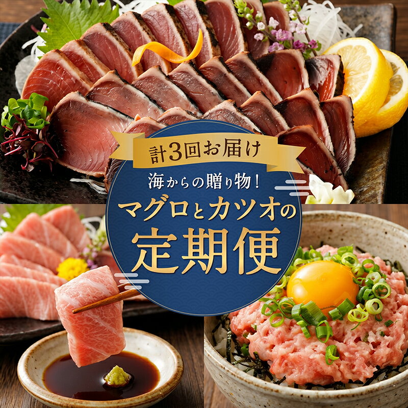 【ふるさと納税】 3回定期便 海からの贈り物 マグロ カツオ 定期便 カツオのたたき ネギトロ 中トロ 刺身 海鮮 鰹 冷凍 魚 海産物 魚介類 高知県 まぐろたたき 鮪 藁焼き わら焼き 訳あり 不揃い 傷 規格外 刺し身 漬け丼 海鮮 故郷納税 バラエティ 頒布会 高知県 室戸市