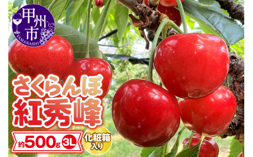 大粒さくらんぼ童夢の「紅秀峰」化粧箱（約500g3Lサイズ）【2024年発送】（DOM）C5-141