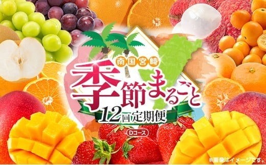 【12回定期便】旬 人気 フルーツ 南国宮崎産 マンゴー ライチ 金柑たまたまエクセレント シャインマスカット ピオーネ いちご みかん 梨 柑橘 太陽のタマゴ きんかん たまたま ぶどう 果物 詰め