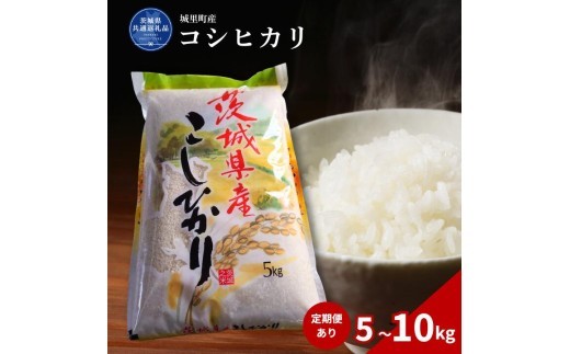 
                  コシヒカリ 5～10kg（茨城県共通返礼品・城里町産） / 米 こめ コメ お米 おこめ コシヒカリ こしひかり 白米 精米 ごはん ご飯 令和7年産 5kg 10kg 茨城県 城里町 利根町
                