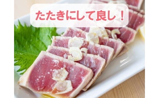 訳あり 大満足！もちもち キハダマグロ 赤身 2kg TY037