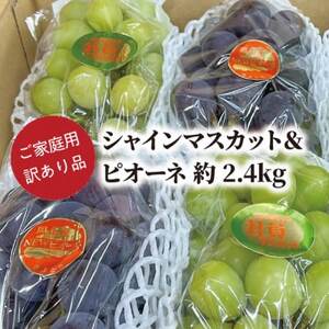 【きよとうファーム】訳ありご家庭用ピオーネとシャインマスカット/計約2.4kg(岡山県産)【配送不可地域：離島】【1602238】