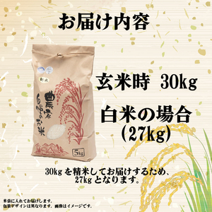 【 令和7年産 新米 27kg 】 きぬひかり 白米