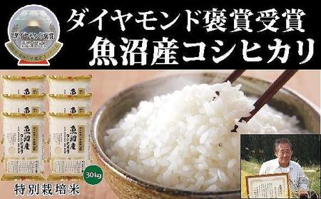 【令和7年産新米】最高級魚沼産こしひかり 30kg（5kg×6袋） コシヒカリ コシヒカリ コシヒカリ コシヒカリ コシヒカリ