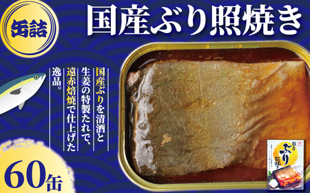 国産ぶり照り焼き 60缶 缶詰 缶詰 缶詰 缶詰 缶詰