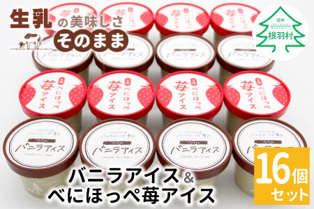 ★新商品・先行予約★バニラアイス＆紅ほっぺいちごアイス 16個入り バニラアイス アイスクリーム アイス 苺 いちご 