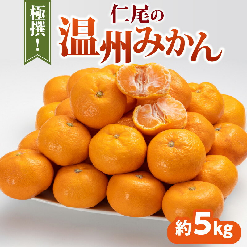 【ふるさと納税】みかん 温州みかん 極撰 約 5kg [ フルーツ 果物 果実 柑橘 デザート スイーツ 甘い 果汁 常温 食品 国産 香川県 三豊市 お取り寄せ お取り寄せグルメ ギフト プレゼント みかん 送料無料 旬 北浜商店 ]【配送不可地域：北海道・沖縄県・離島】