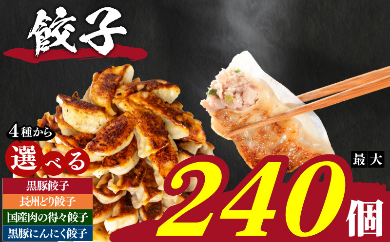 訳あり 黒豚餃子 180個 12個×15パック 冷凍 小分け 日指定可 たれ付き 大容量 ぎょうざ ギョウザ ギョーザ ( 肉 豚肉 九州産黒豚 おかず餃子 ごはんのお供 便利 日用 簡単調理 惣菜 1万円 10000円 加工食品 絶品 おかず 弁当 おつまみ 晩ごはん ) 山口県 下関市 肉特集