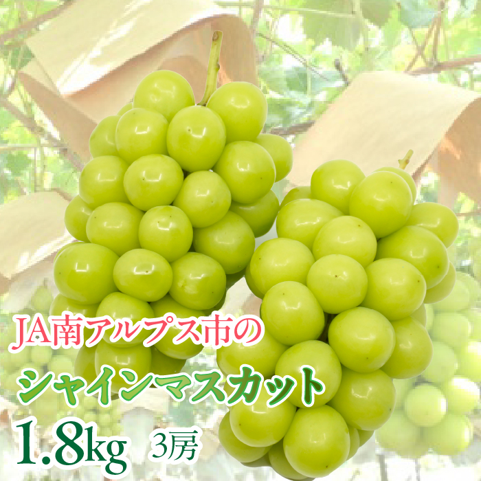 【令和7年発送先行予約】絶品！南アルプス市産シャインマスカット1.8kg ALPAA004-25-A1 山梨 山梨県 ぶどう 葡萄 ブドウ マスカット 種なし 大粒 フルーツ くだもの 果物 高級 新鮮 産地直送 贈答 ギフト 家庭用 1.8キロ 2025年