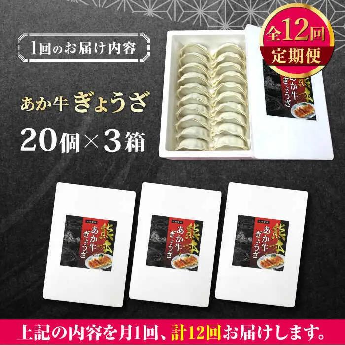 【全12回定期便】熊本県産 あか牛 ぎょうざ 20個×3箱 ぎょうざ[AYCQ091]