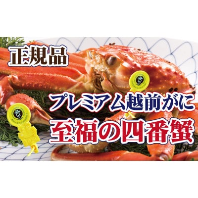 桐箱入り!四番蟹　至福のプレミアム越前がに × 1杯 ≪浜茹で≫【12・1月発送分】【配送不可地域：離島】【1264264】