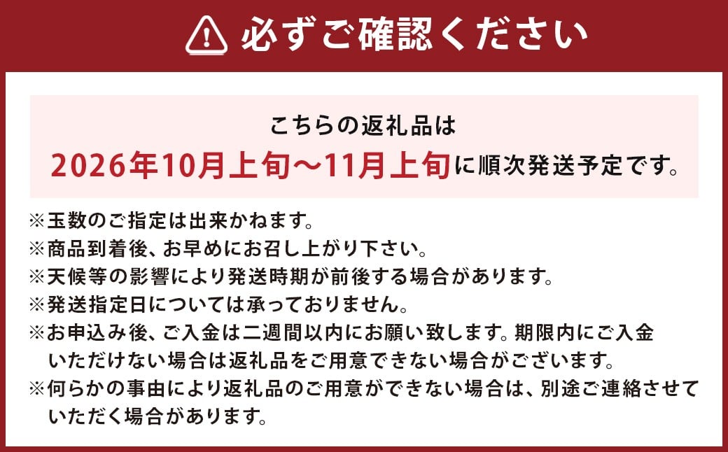 博多 秋王 8～12玉 柿 甘柿 果物 フルーツ お取り寄せ 福岡県産 九州 【2026年10月上旬から11月上旬まで順次発送予定】