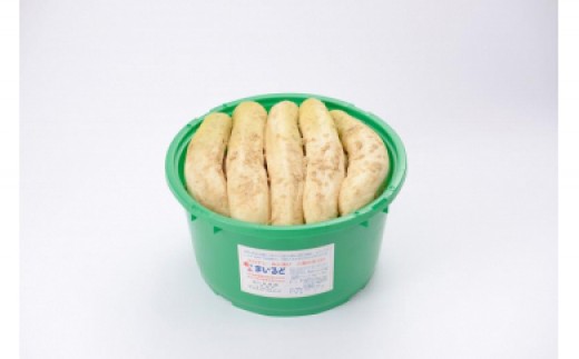 【ふるさと納税】 沢庵大樽 と 野菜 セット ご入金締切2026年1月31日まで たくあん 漬物 つけもの 大根 だいこん 冬野菜 ブランド かながわブランド 日本農業賞優秀賞 おいしい 期間限定 三浦野菜 季節の野菜 丸徳農産 神奈川 三浦市 おすすめ ランキング プレゼント ギフト