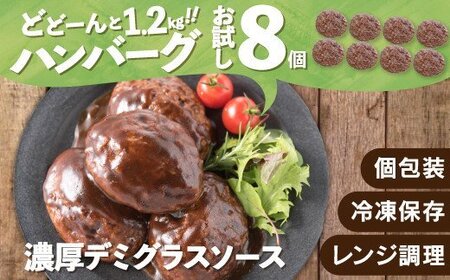 ZI424.累計４０万個突破記念！お試し1.2㎏!デミハンバーグ【150g×8個】【訳あり】【北海道・沖縄・離島へ配送不可】