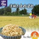 【ふるさと納税】定期便 6ヶ月 簡単に炊ける 宮城県産 ひとめぼれ 発芽玄米 計6kg(1kg×6回) [菅原商店 宮城県 加美町 44581382] お米 米 玄米