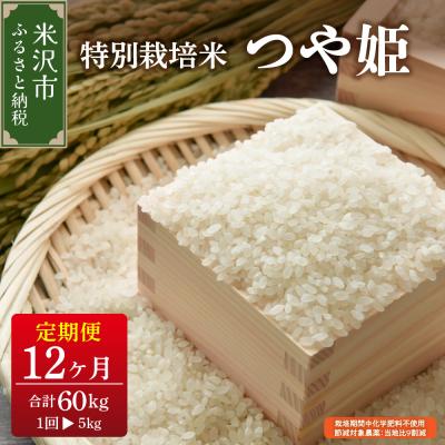 ふるさと納税 米沢市 【先行予約】12ヶ月定期便 令和8年産 つや姫 5kg × 12回 計 60kg 特別栽培米