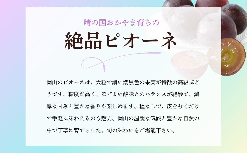 【期間限定】鏡野町産 ピオーネ 2kg（ご家庭用）【004-a029】