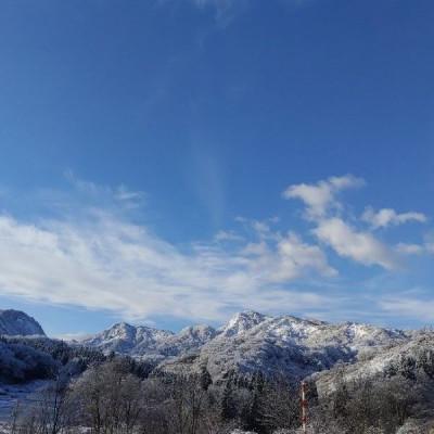 ふるさと納税 小国町 山形県小国町産　つや姫・雪若丸・山形95号　3品種食べ比べセット(精米各5kg) |  | 03