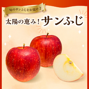 【2026年産】りんご「サンふじ」3kg よってけポポラ提供 hi003-171 （令和8年産 2026年産 リンゴ 林檎 アップル サンふじ フルーツ 果物 くだもの 箱入り 産地直送 期間限定 特