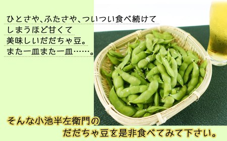 【令和7年産先行予約】朝採りだだちゃ豆 【白山】1.5kg (500g×3袋) 枝豆　小池半左衛門