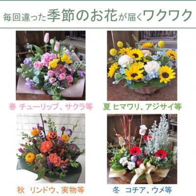 ふるさと納税 北上市 【毎月定期便】季節のフラワーアレンジメントA　全3回 |  | 01
