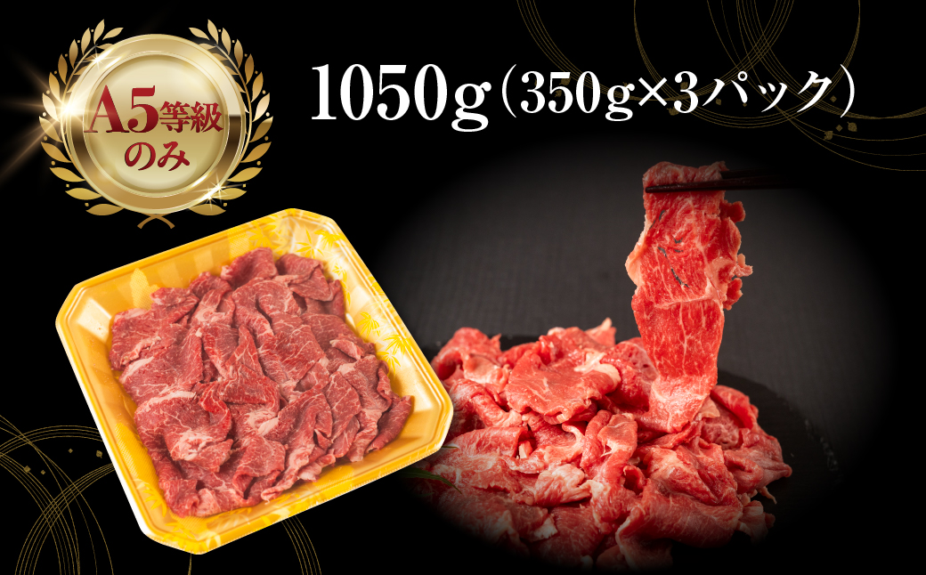 【3回定期便】飛騨牛 A5 1050g ちょっと良い 切り落とし 牛肉 和牛