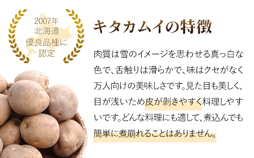 【2026年9月下旬より発送】北海道厚沢部町産 キタカムイ 10kg【L・2Lサイズ】 ASO032