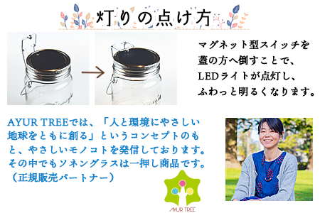 ＜ボタニカルアート ソネングラス＞翌月末迄に順次出荷【 インテリア ライト 飾り かわいい プレゼント 贈り物 ソーラー 雑貨 アウトドア 出産祝い 】