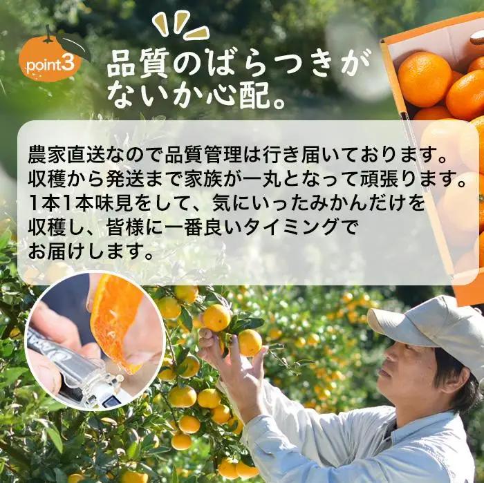 訳あり みかん 5kg 鈴木農園蔵出しみかん