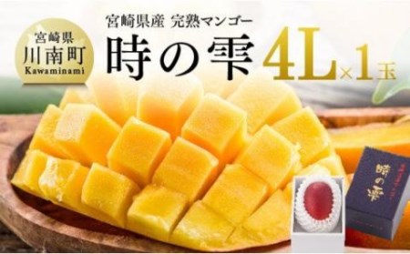 【令和７年発送】宮崎県産完熟マンゴー「時の雫」 4L×1玉【 期間限定 数量限定 先行予約 果物 フルーツ マンゴー 宮崎県産 九州産 完熟マンゴー みやざきマンゴー 】