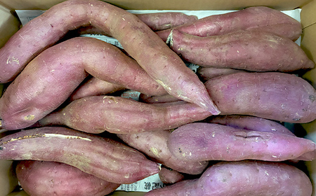 甘さ引き出す サイズ不揃い 熟成紅はるか 5kg さつまいも 訳アリ サツマイモ さつま芋 甘い おやつ 食品  F21T-474