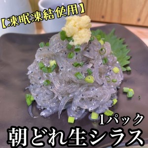 新鮮！朝どれ 生しらす 食べきり1パック【凍眠凍結使用】【 惣菜 お刺身 生食 日本酒 焼酎 お取り寄せ 希少部位 御中元 お中元 お歳暮 父の日 母の日 贈り物 しらす しらす しらす しらす しらす】【家庭用 自宅用 贈答品 贈答用 ギフト 】【まぐろや 神奈川県小田原市早川】