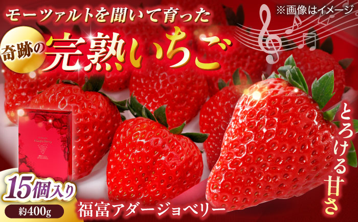 島根県松江市「のつ農園」　完熟いちご「福富アダージョベリー」　15個入り 島根県松江市/山陰中央テレビジョン放送株式会社 [ALFI004]