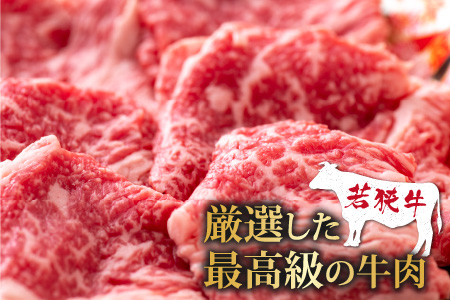 【福井のブランド牛肉】若狭牛切り落とし(モモ・肩・バラ) 450g(225g×2パック)【4等級以上】