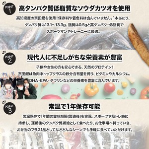 【3回定期便】鰹BAR for Sportsミックス20本（しょうゆ味10本+塩レモン味10本）【J00203】