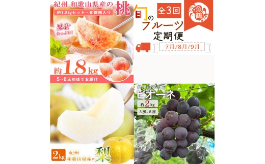 【全3回】紀州和歌山産旬のフルーツ定期便 (桃・梨・ピオーネ) 【tkb424】