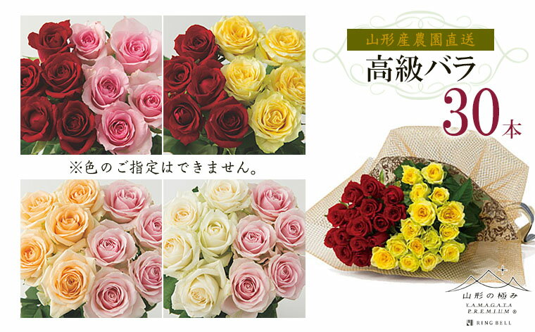 【ふるさと納税】山形産農園直送高級バラ 30本 FZ26-741