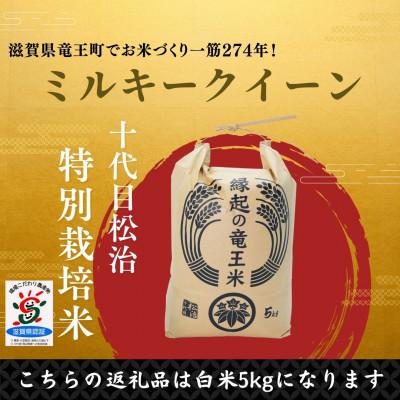 ふるさと納税 竜王町 【令和7年産新米】特別栽培米 十代目松治のミルキークイーン「縁起の竜王米」 白米5kg 滋賀県産