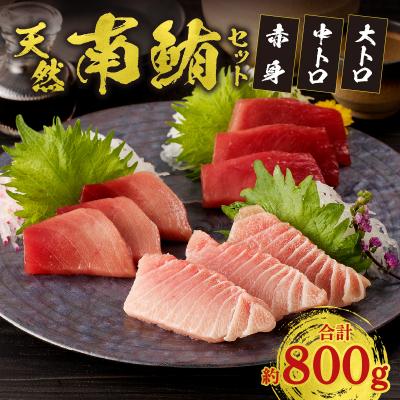 ふるさと納税 焼津市 『鮪の魚二』天然南鮪大トロ中トロ赤身約800gセット(a40-076) |  | 01