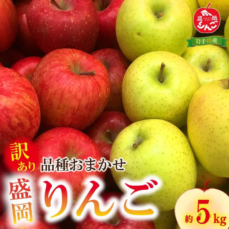 【先行予約】 訳あり 盛岡りんご 品種おまかせ 5kg 乙部角屋 りんご otobe006