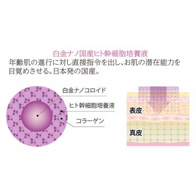 ふるさと納税 横浜市 ストレピア　プラチナリフティクリームセット |  | 03