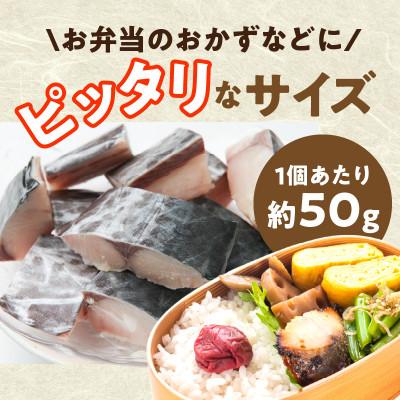 ふるさと納税 泉佐野市 【3ヵ月毎定期便】さわら 切身 約50g×20切れ 1kg×全2回 |  | 01