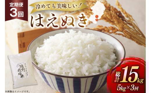 米 定期便 3回 令和7年 はえぬき 5kg 3回 計15kg [渡部ファーム 山形県 高畠町 tk06ays810041] お米 白米 精米 ごはん ご飯 ブランド米